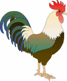 Peña EL GALLO Gallocanta